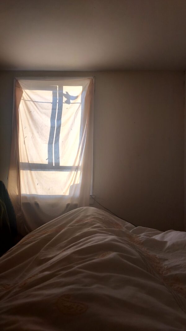 [Spring Tide] The Day After