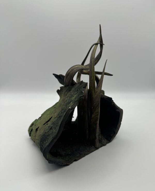 [Spring Tide] New life - Image 2