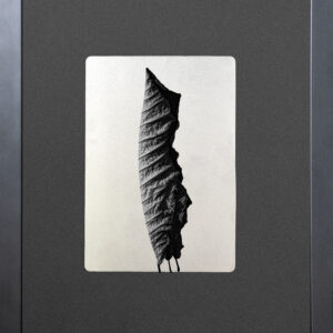 [Spring Tide] Leaf-01