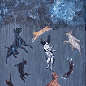 Raining Cats And Dogs (5)