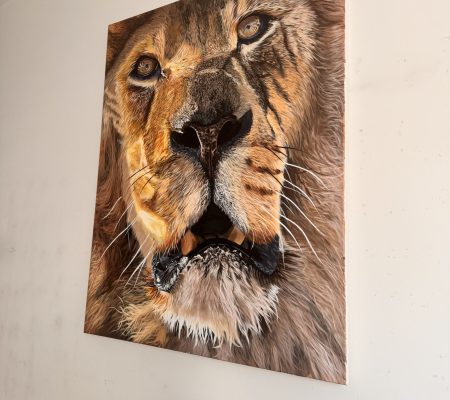 Nedum Udeze Roar