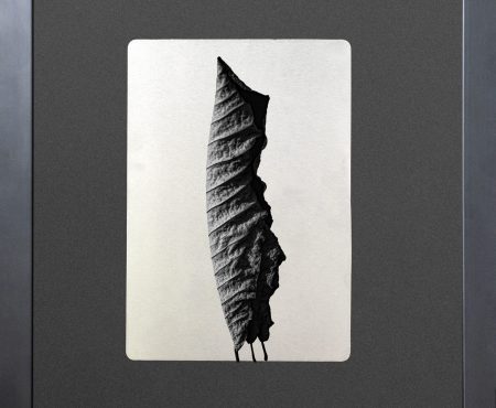 Krzysztof Jablonowski Leaf 01