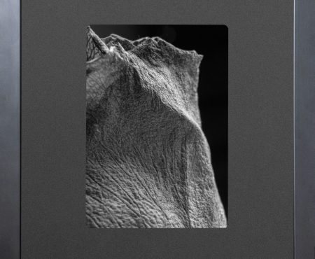 Krzysztof Jablonowski Leaf 05